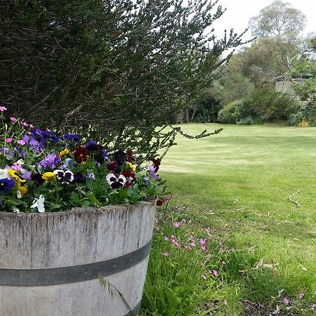 Padthaway Caravan Park Extérieur photo