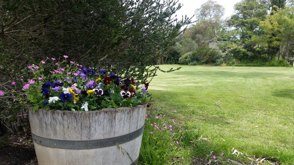 Padthaway Caravan Park Extérieur photo